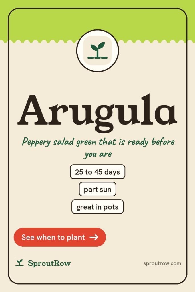Arugula pin