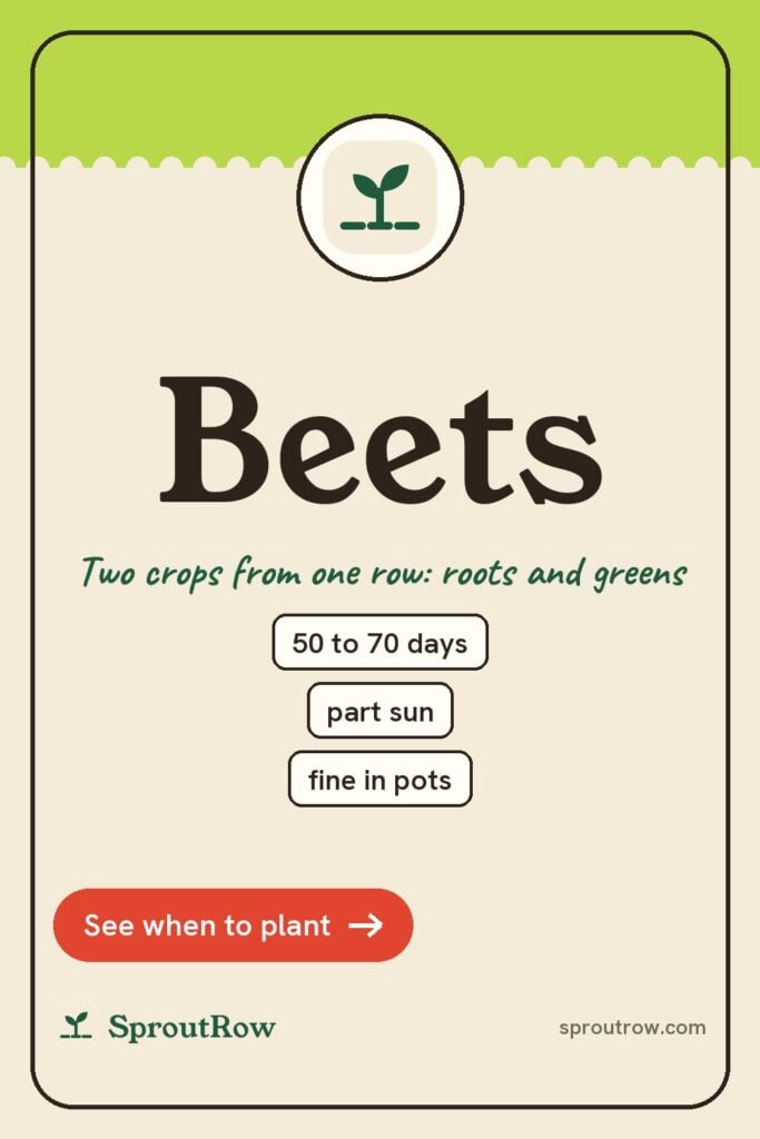 Beets pin