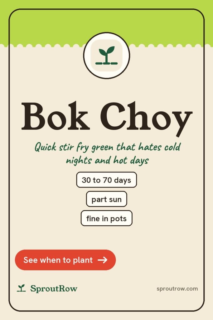 Bok Choy pin