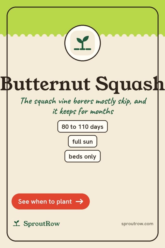 Butternut Squash pin