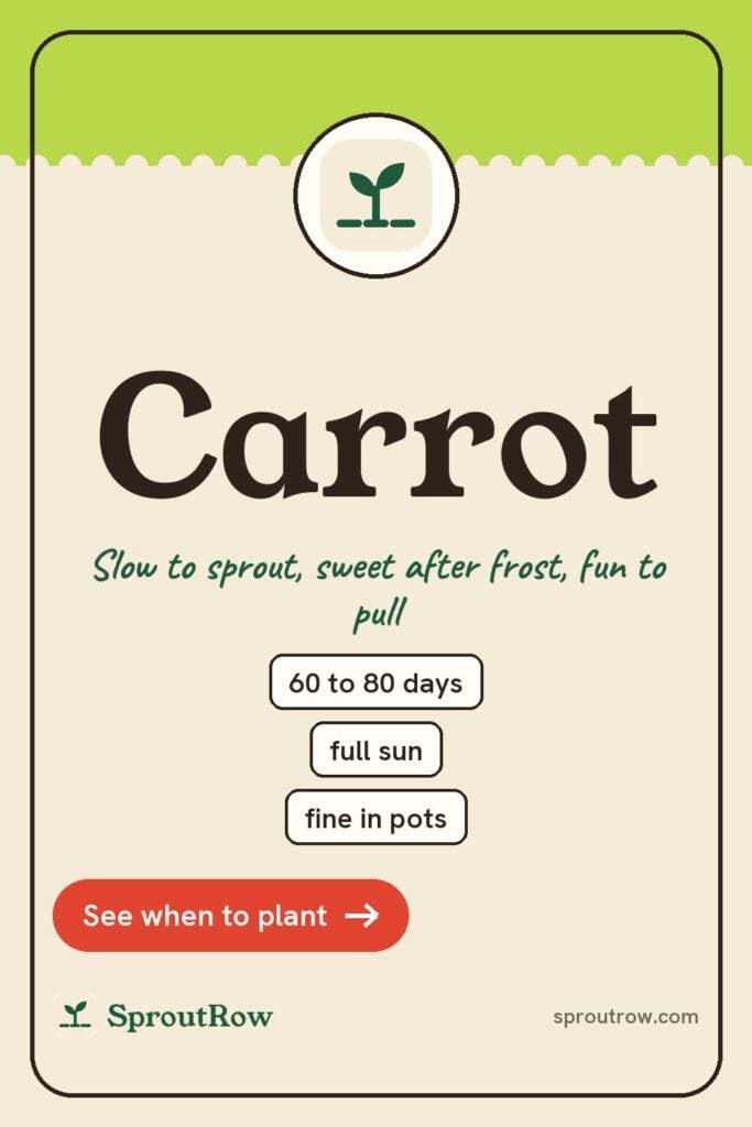 Carrot pin