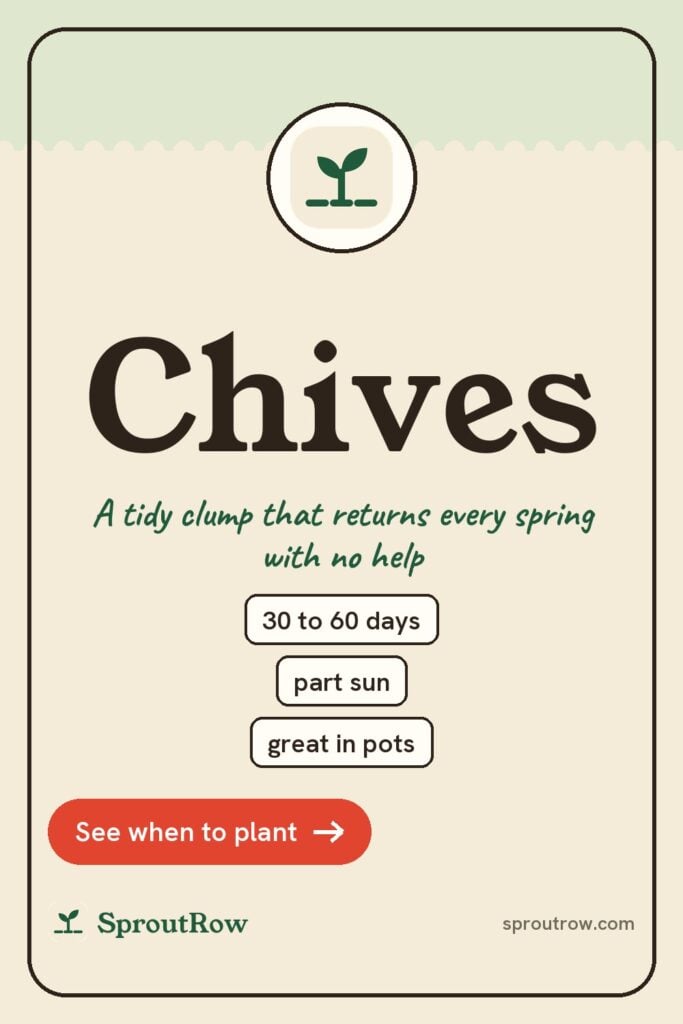 Chives pin