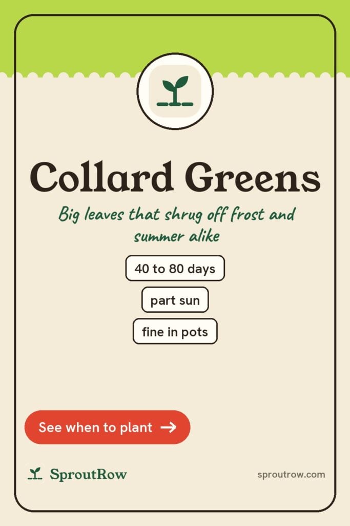 Collard Greens pin