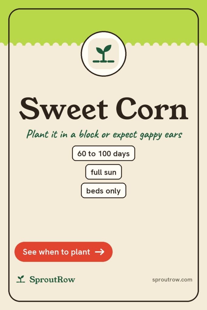 Sweet Corn pin