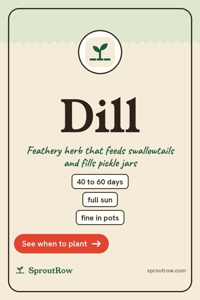 Dill pin