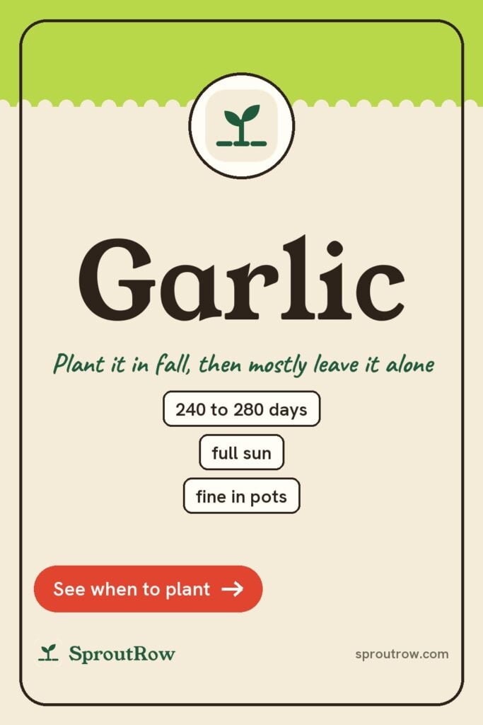 Garlic pin