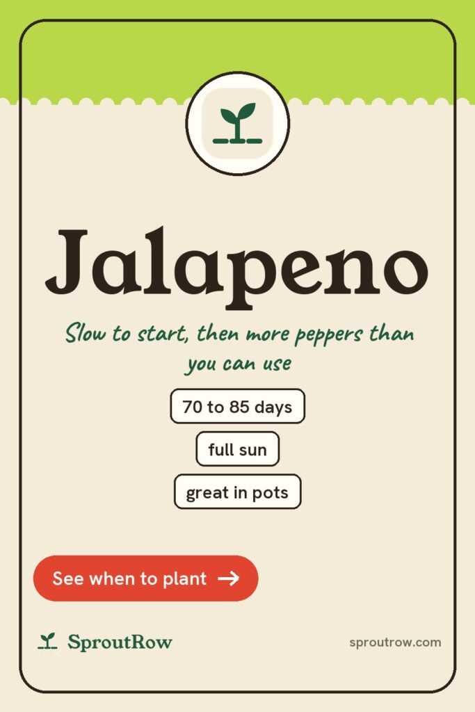 Jalapeno pin