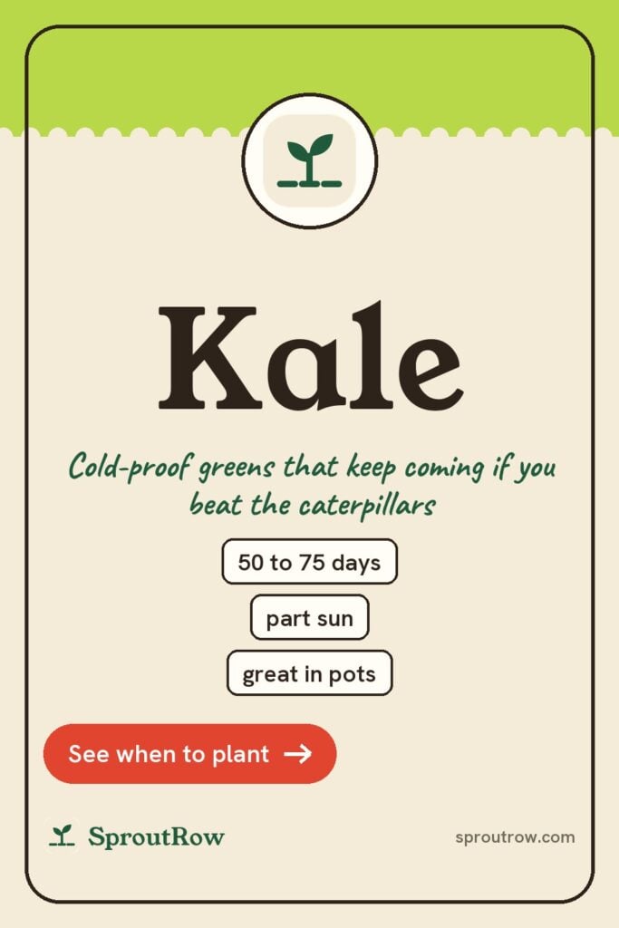 Kale pin