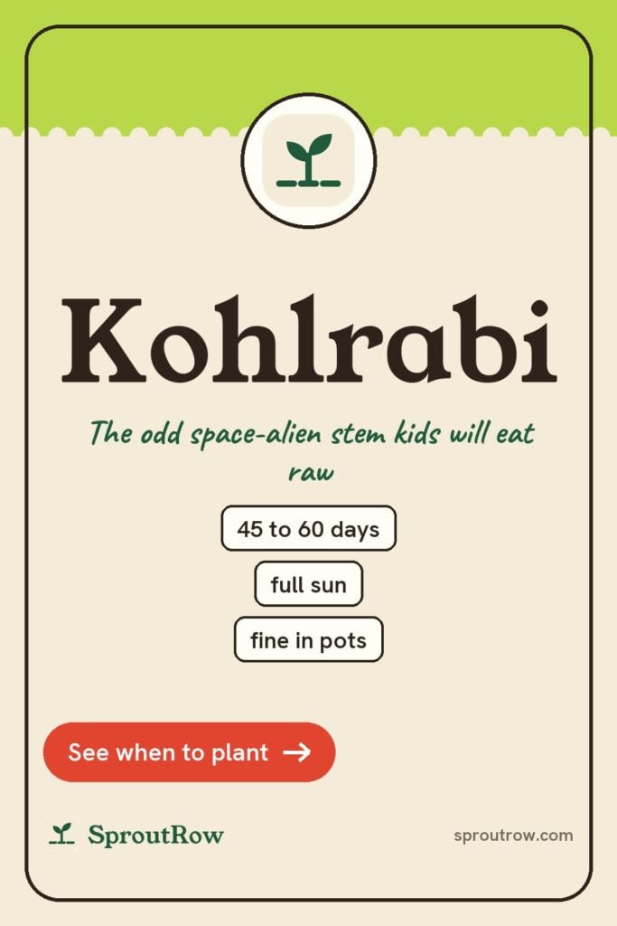Kohlrabi pin