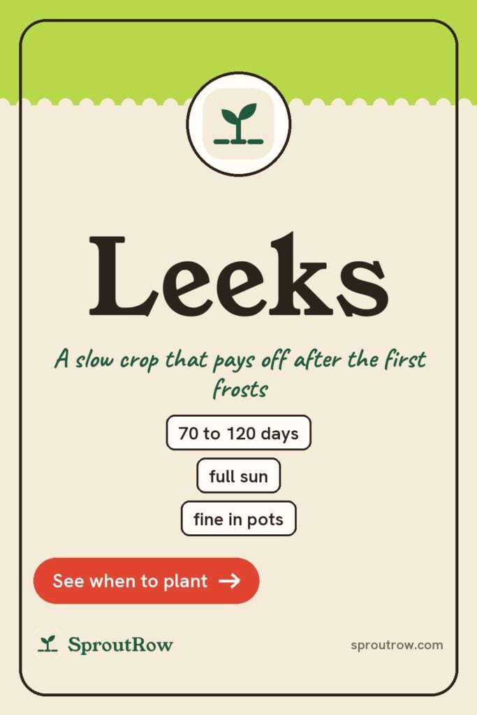 Leeks pin