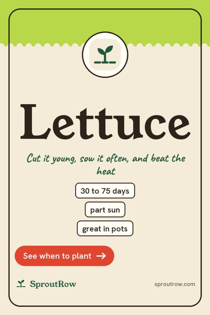 Lettuce pin