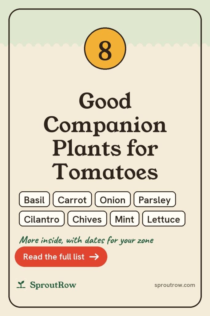 8 Good Companion Plants for Tomatoes pin