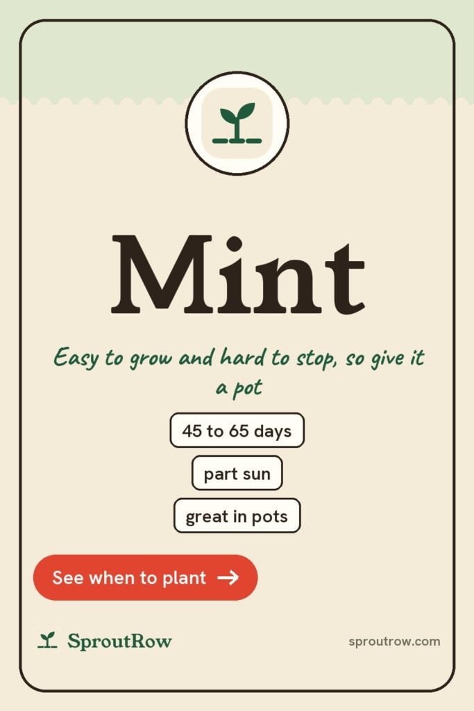 Mint pin