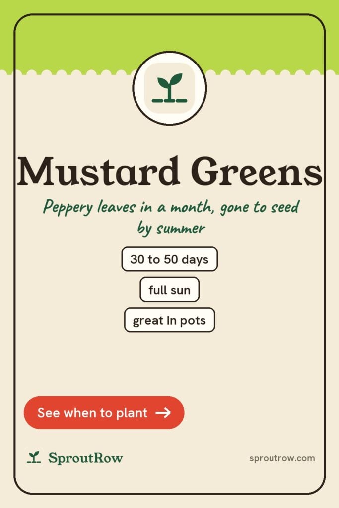 Mustard Greens pin