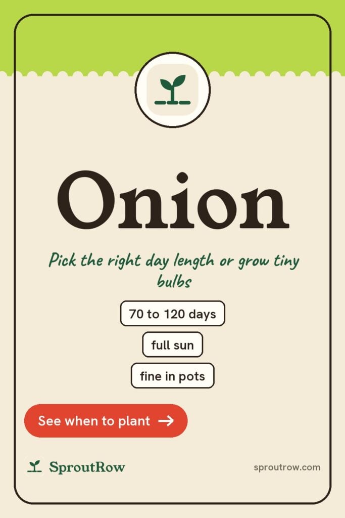 Onion pin