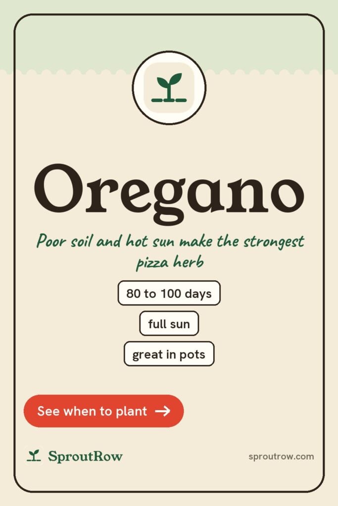 Oregano pin