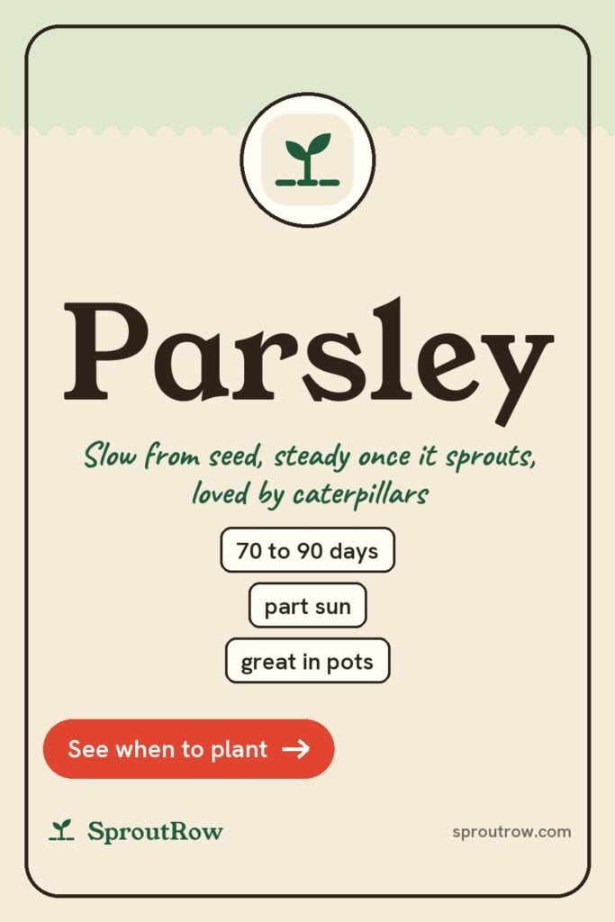 Parsley pin