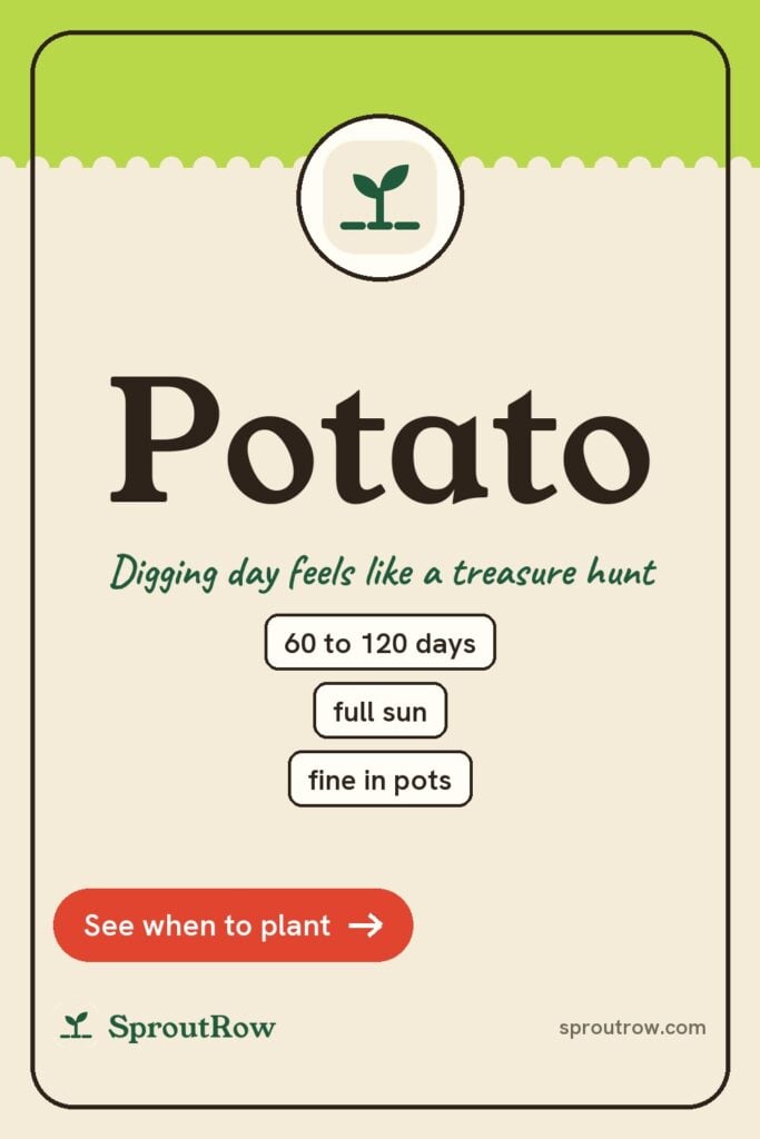Potato pin