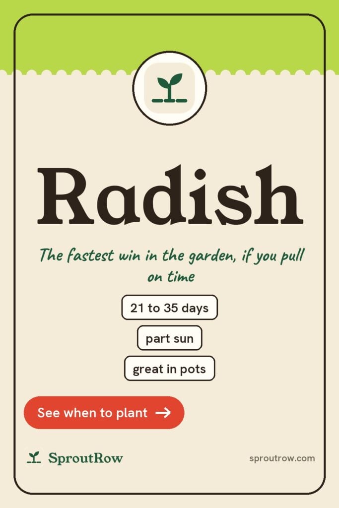 Radish pin