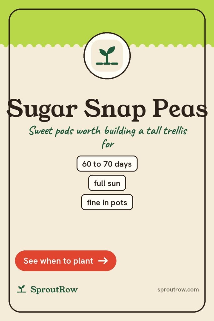 Sugar Snap Peas pin