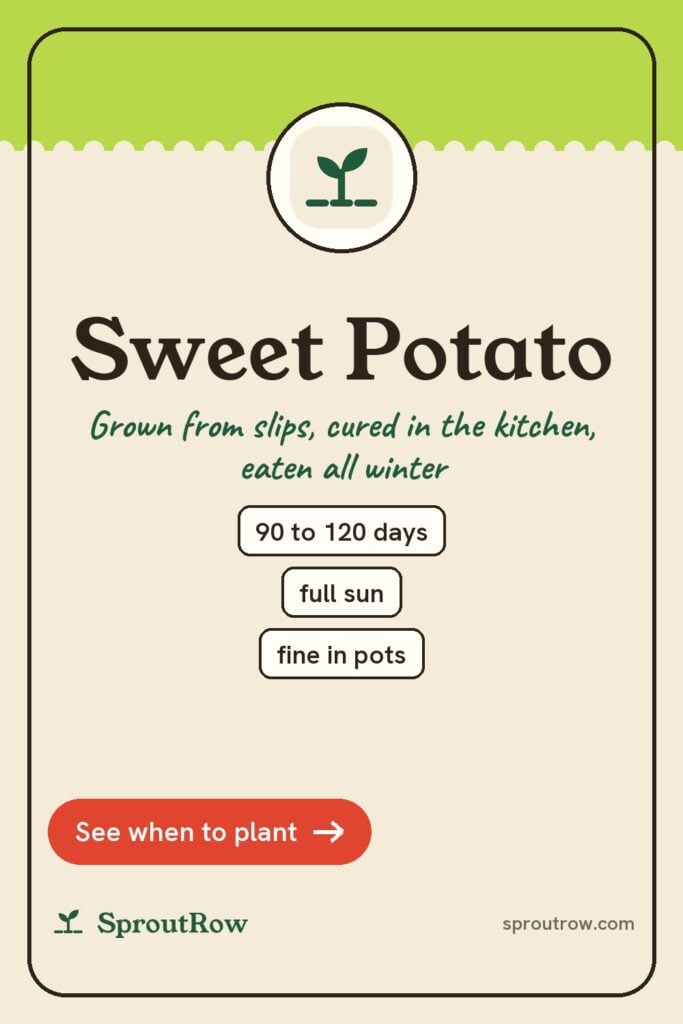 Sweet Potato pin