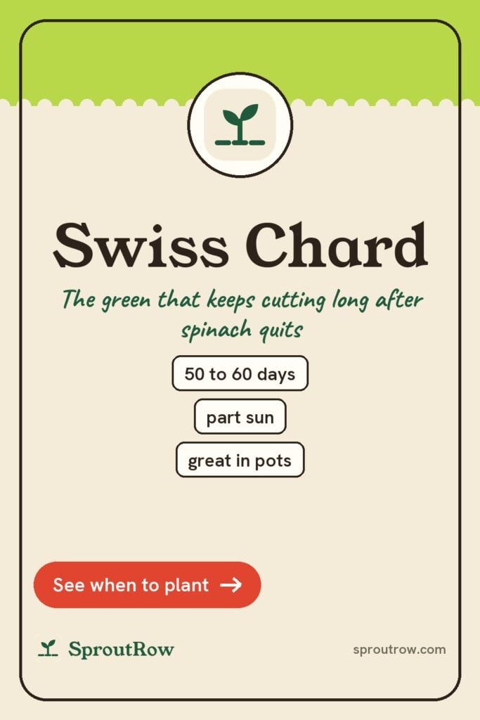 Swiss Chard pin