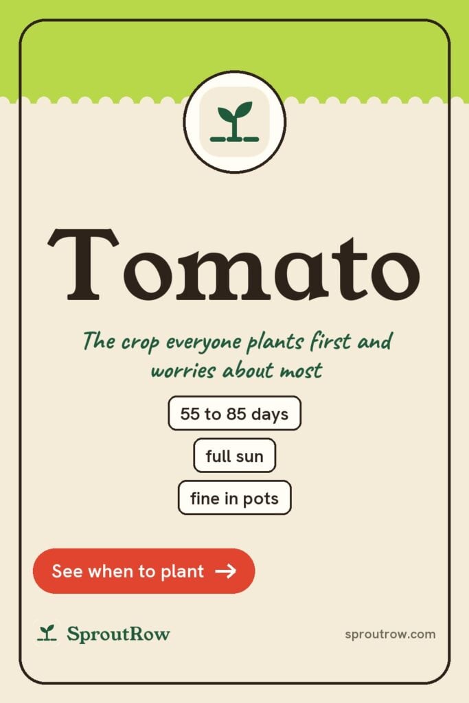 Tomato pin