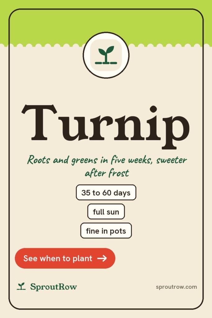 Turnip pin