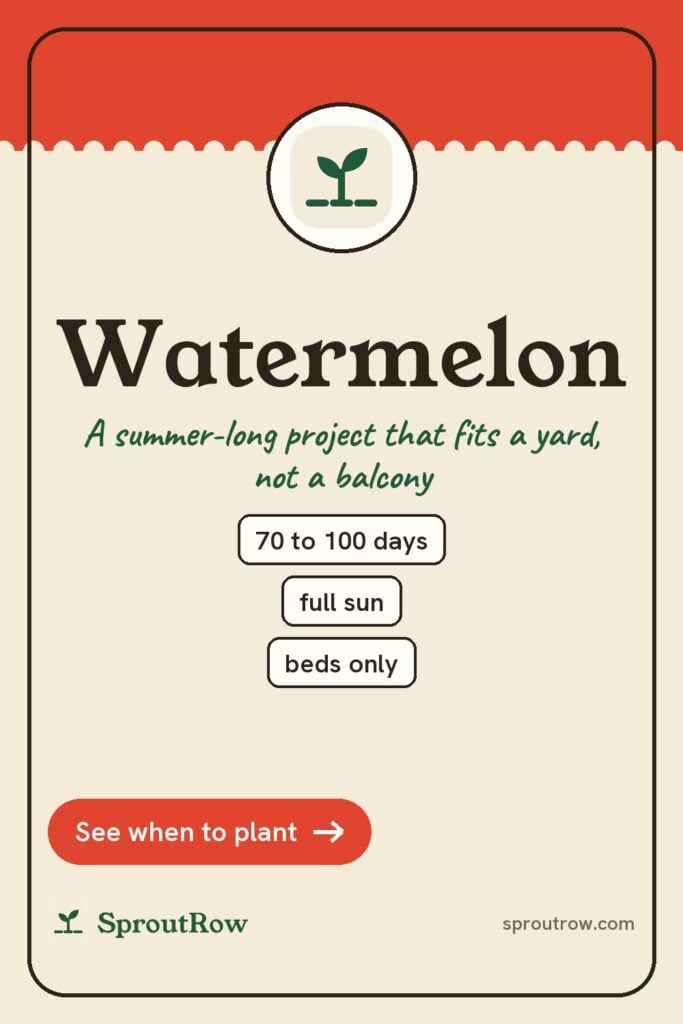Watermelon pin