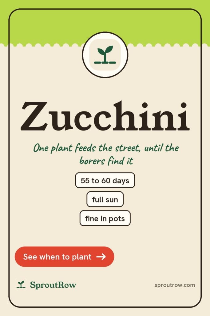 Zucchini pin